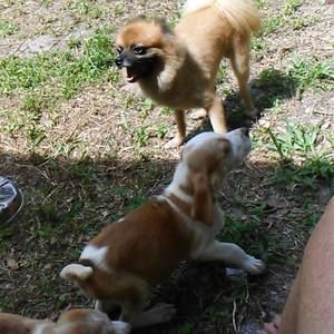 Meet your Posher, Patricia